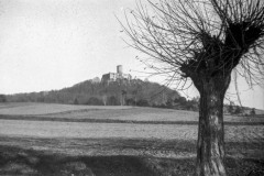 Babice