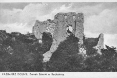 Bochotnica