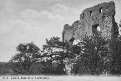 Bochotnica