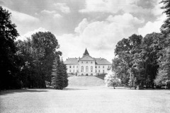 Dzików
