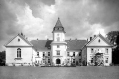 Dzików