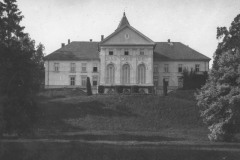 Dzików
