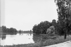 Moszna