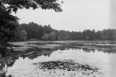 Moszna