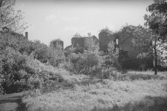 Pokrzywno