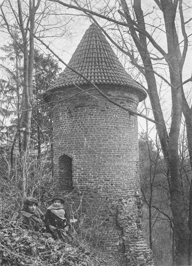 Rogóźno-Zamek
