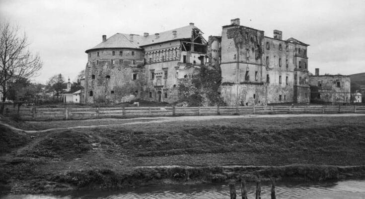 Zamek w Brzeżanach
