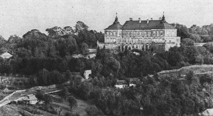 Zamek w Podhorcach