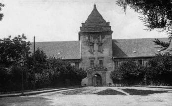 Zamek w Żółkwi