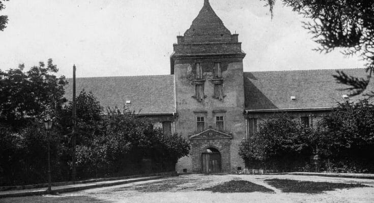 Zamek w Żółkwi