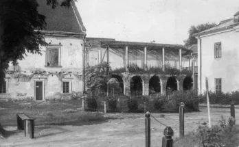Zamek w Żółkwi