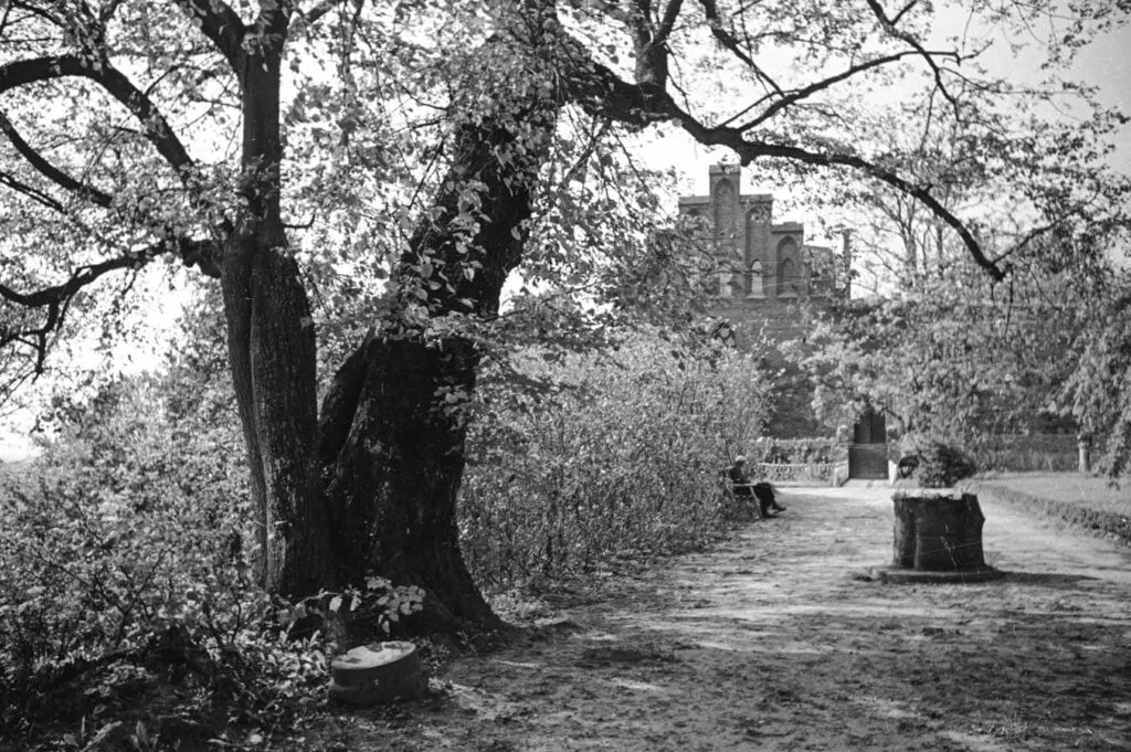 Zamek Bierzgłowski Bierzgłowo