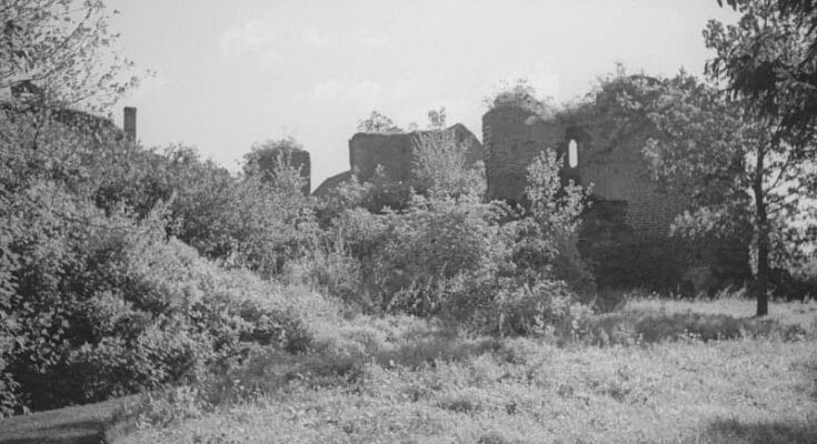Zamek w Pokrzywnie