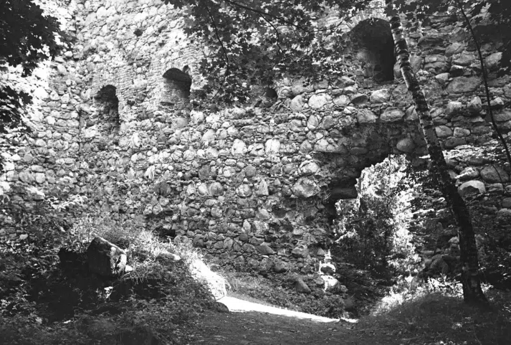 Zamek w Papowie Biskupim