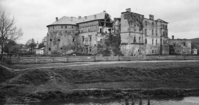 Zamek w Brzeżanach