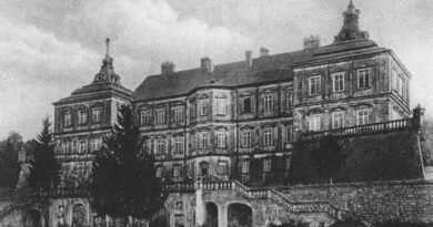 Zamek w Podhorcach
