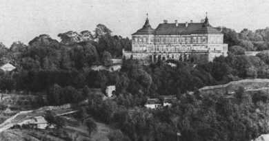 Zamek w Podhorcach