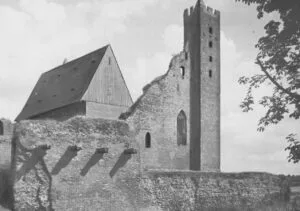 Zamek w Radzyniu Chełmińskim