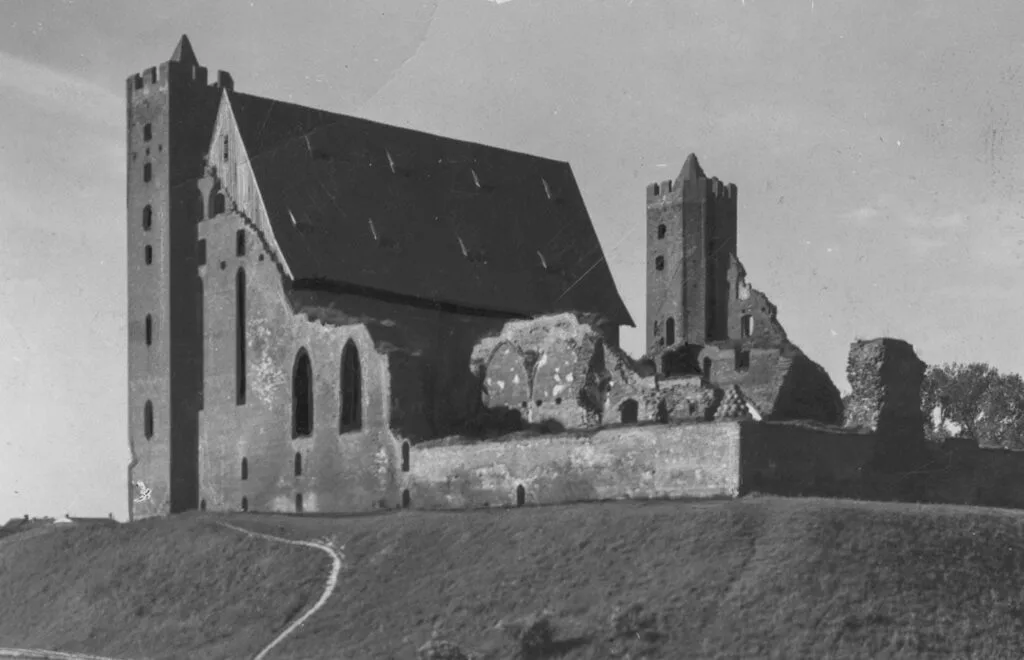 Zamek w Radzyniu Chełmińskim