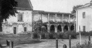 Zamek w Żółkwi