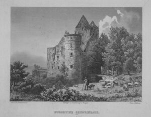 Zamek Świny