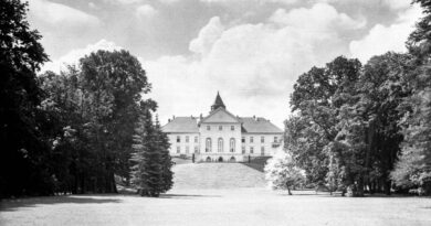 Zamek w Dzikowie