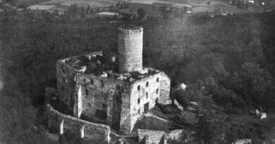 Zamek Lipowiec