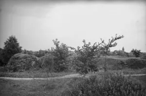 Zamek w Wąbrzeźnie