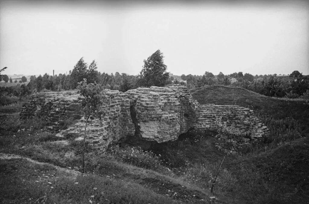 Zamek w Wąbrzeźnie