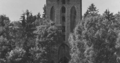 Zamek w Rogóźnie