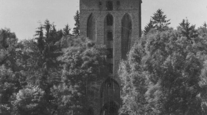 Zamek w Rogóźnie