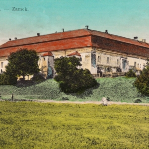 Zamek w Niepołomicach