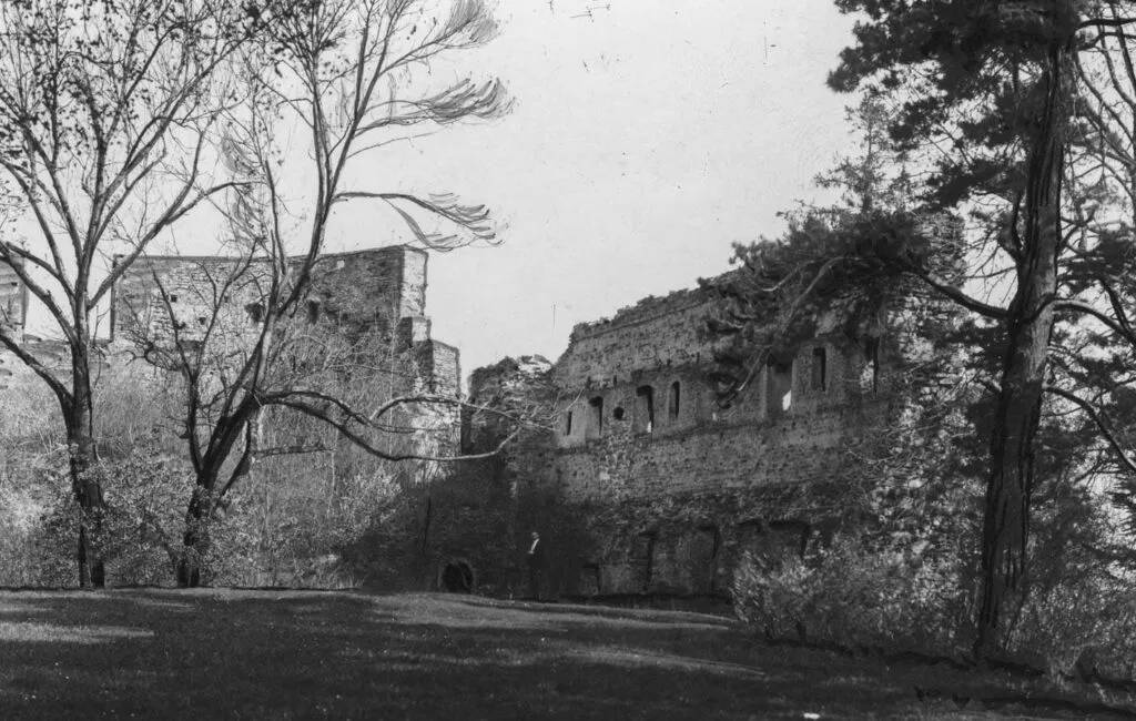 Zamek w Dobromilu (Narodowe Archowum Cyfrowe) Zamek Hubertów w Dobromilu