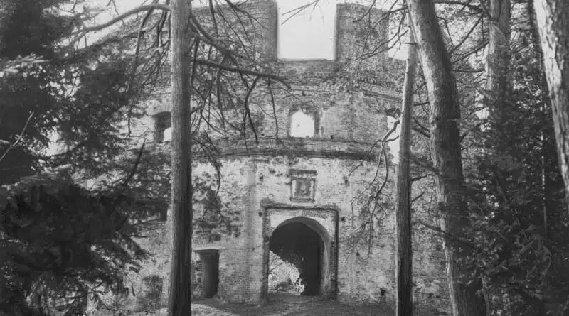 Dobromil Zamek w Dobromilu