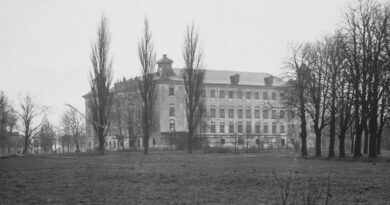 Zamek w Rydzynie