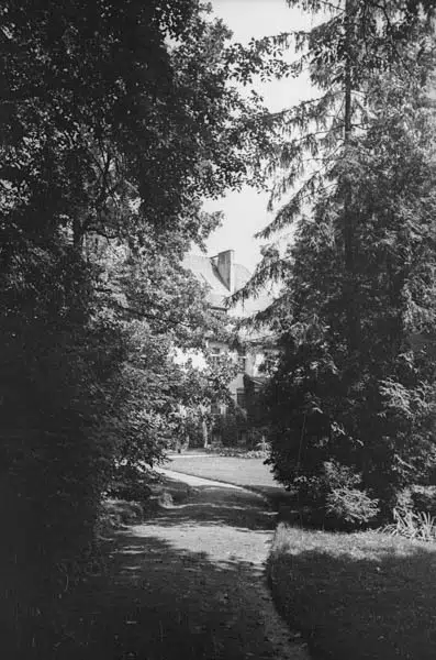 Ruiny zamku w Papowie Biskupim (zbiory Narodowego Archiwum Cyfrowego)