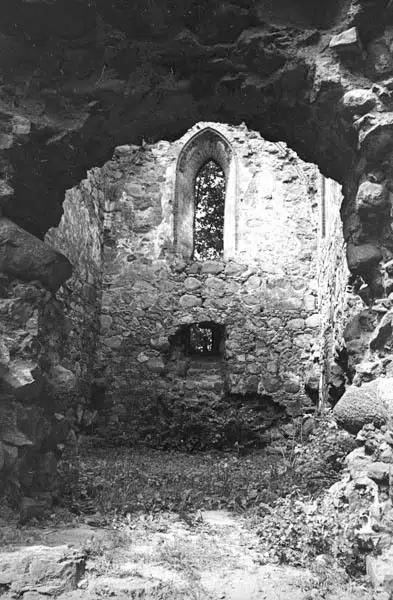 Ruiny zamku w Papowie Biskupim (zbiory Narodowego Archiwum Cyfrowego)