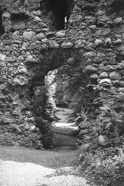 Ruiny zamku w Papowie Biskupim (zbiory Narodowego Archiwum Cyfrowego)